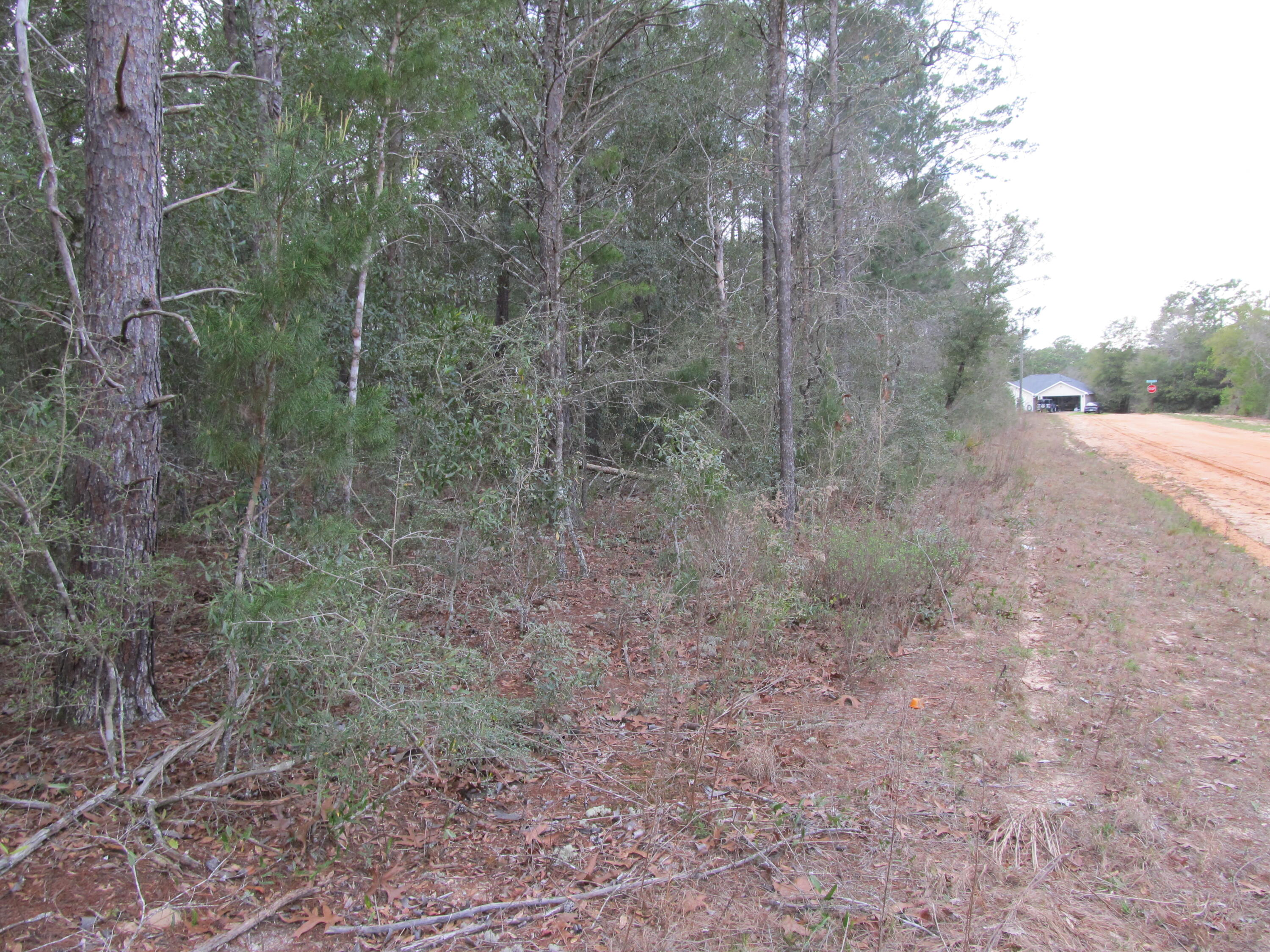 main property photo 4
