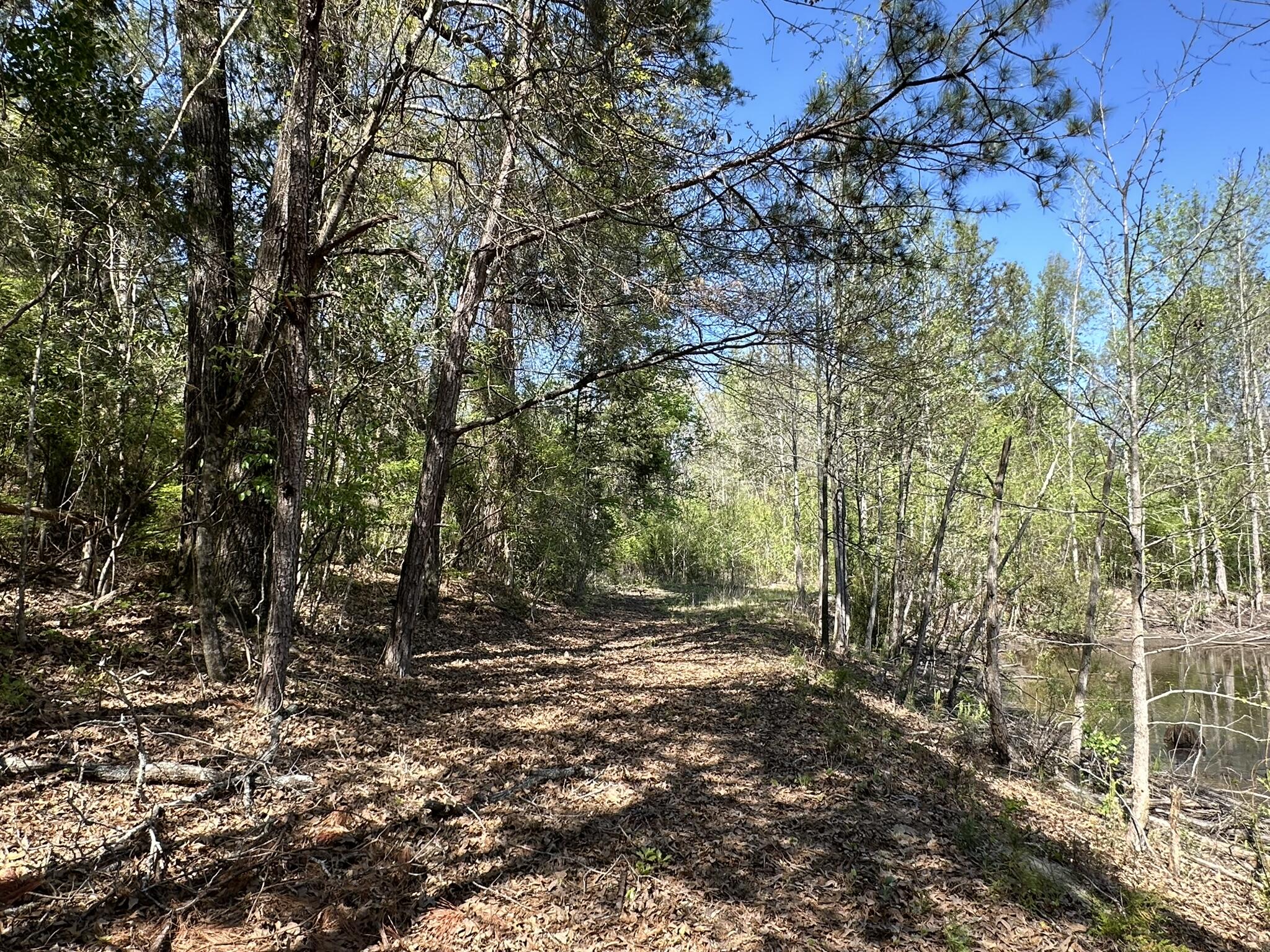 main property photo 39