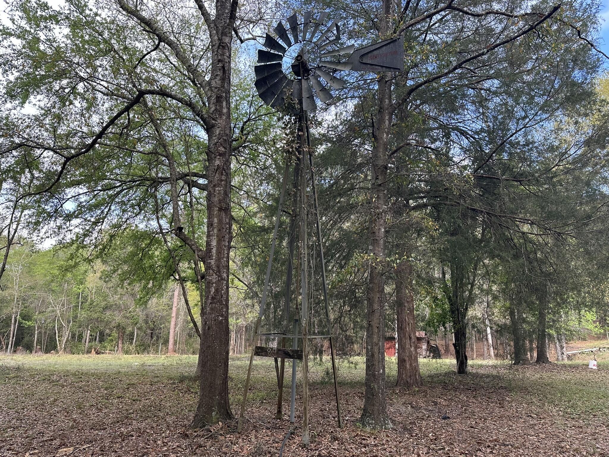 main property photo 19